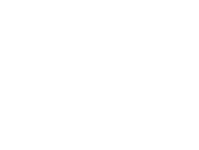 Fênix Treinamentos e Serviços